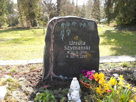 Felsen mit gefärbten Baum