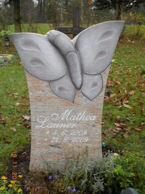 Schmetteringsstein aus Raw Silk